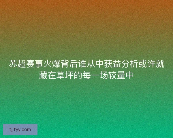 苏超赛事火爆背后谁从中获益分析或许就藏在草坪的每一场较量中