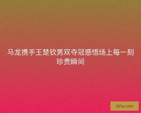 马龙携手王楚钦男双夺冠感悟场上每一刻珍贵瞬间 马龙携手王楚钦男双夺冠感悟场上每一刻珍贵瞬间